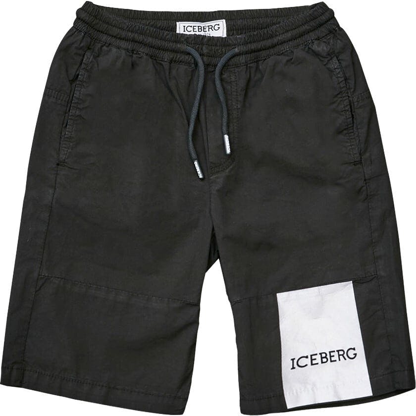 Colorblock Lightweight Logo Shorts
