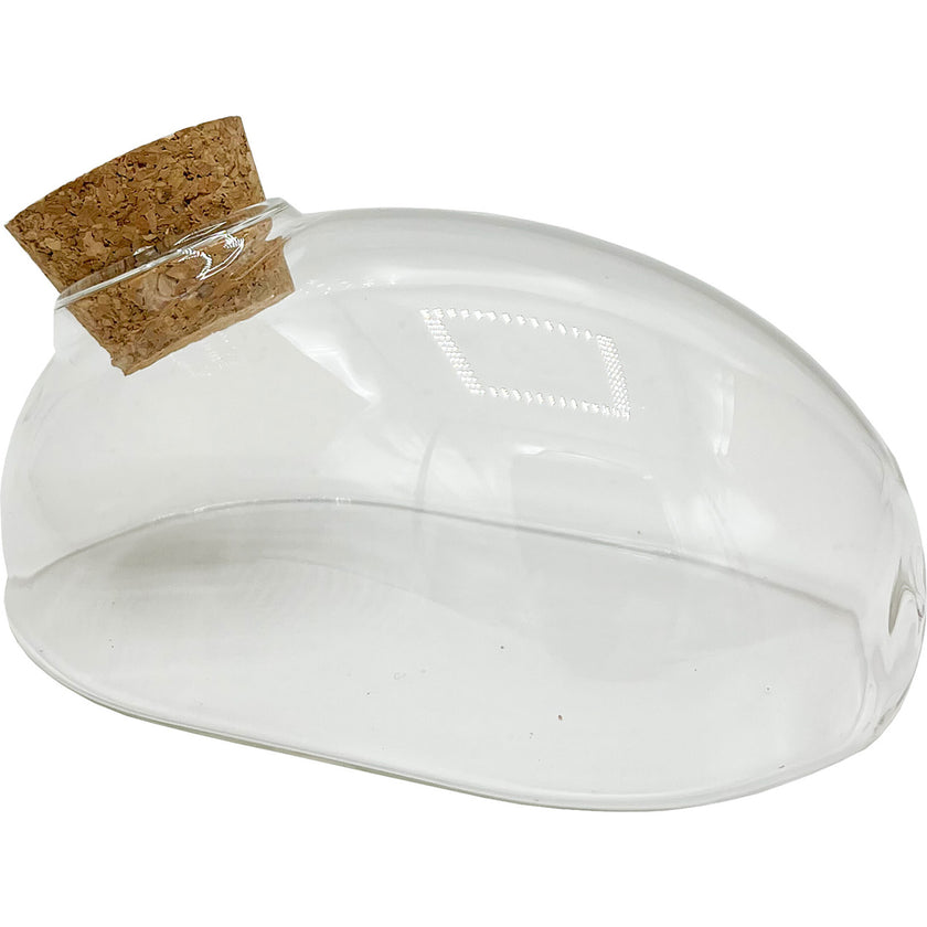 Glass Terrarium: