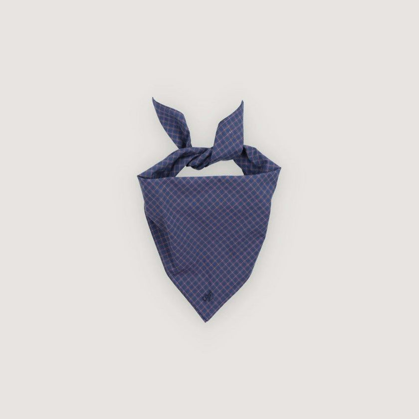 Estela Woman Neck Scarf Check_Sampling