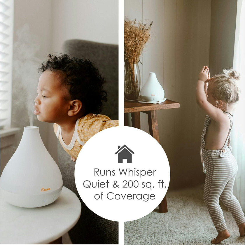 Personal Humidifier and Aroma Diffuser