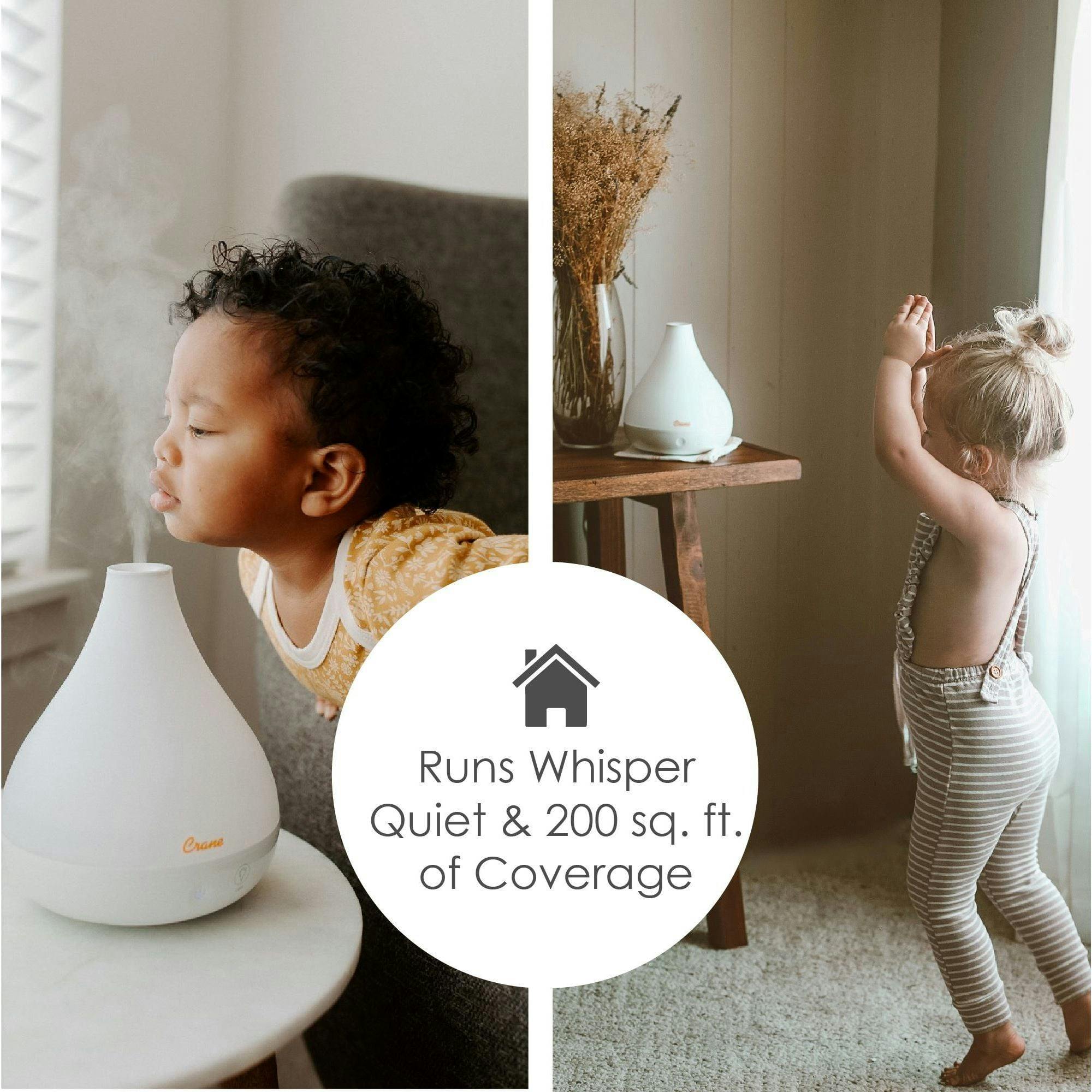 Personal Humidifier and Aroma Diffuser