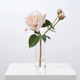 Blush Pink Real Touch Juliette Rose Stem & Buds in Fluted Glass Vase Everyday Spring Water Illusion