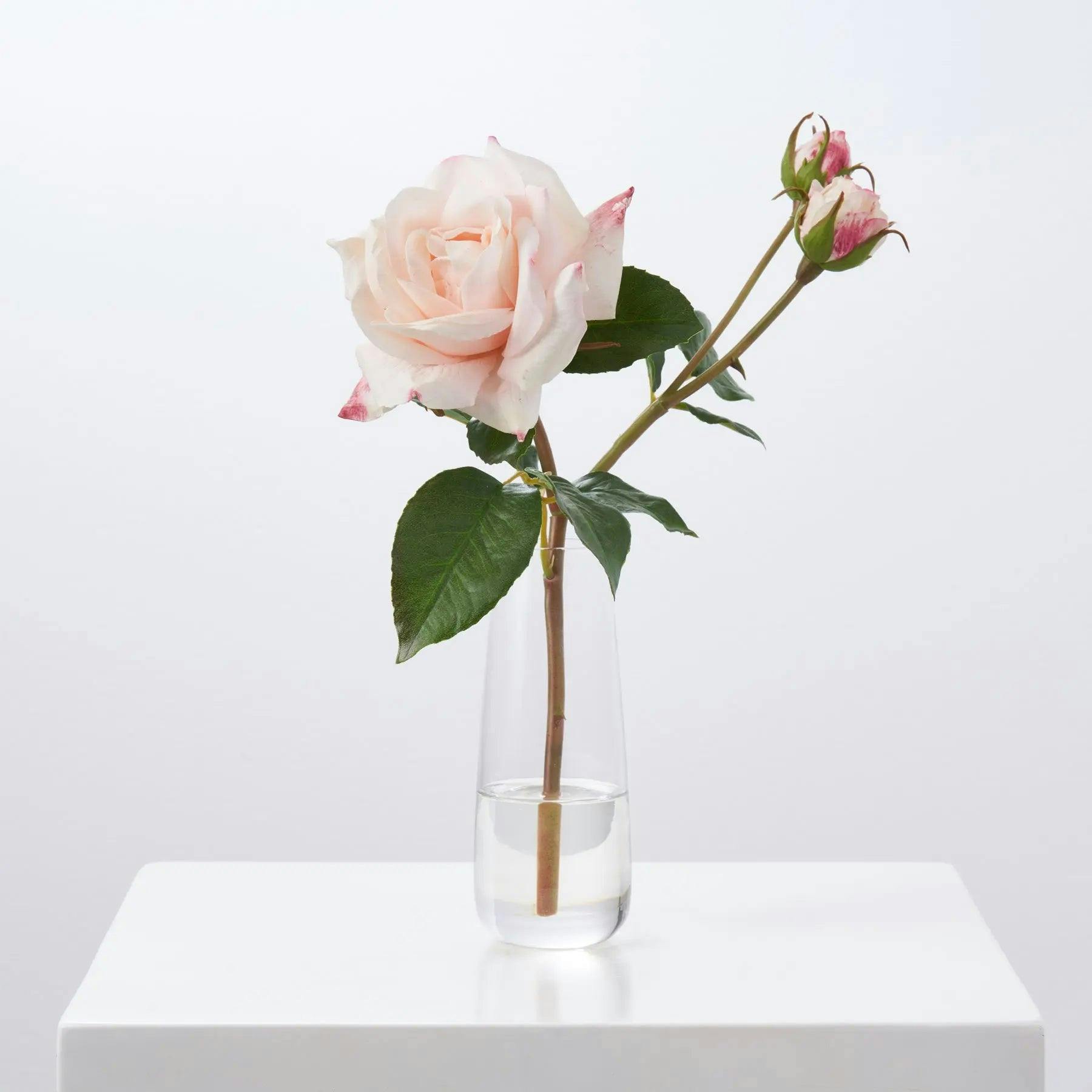 Blush Pink Real Touch Juliette Rose Stem & Buds in Fluted Glass Vase Everyday Spring Water Illusion