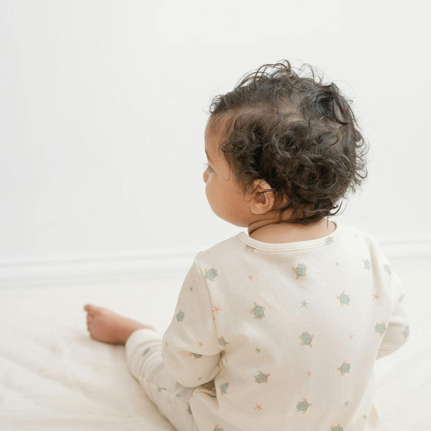 Quinn Magnetic Playsuit in Turtles