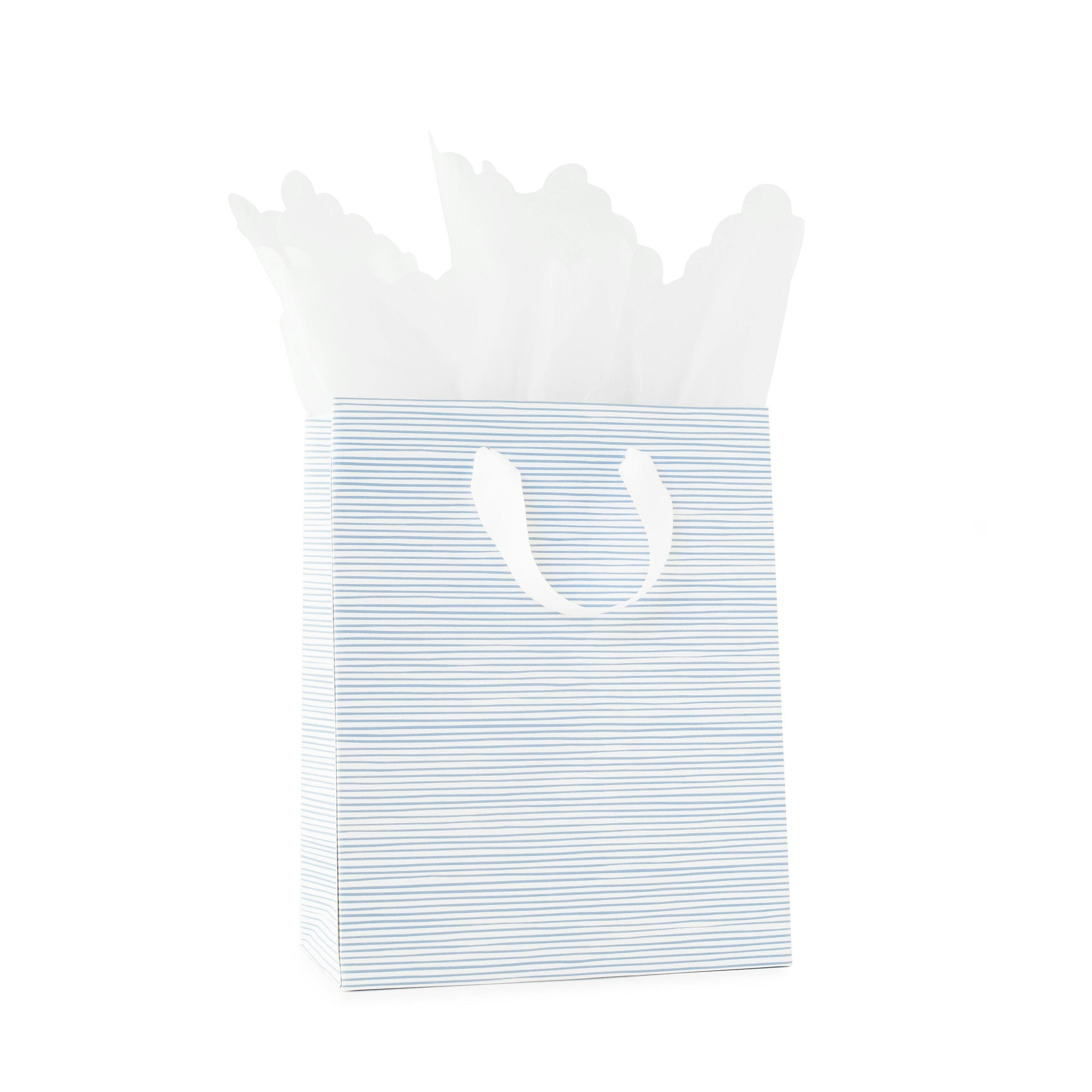 Blue Painted Stripe Gift Bag