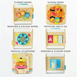 Petit Activity Cube