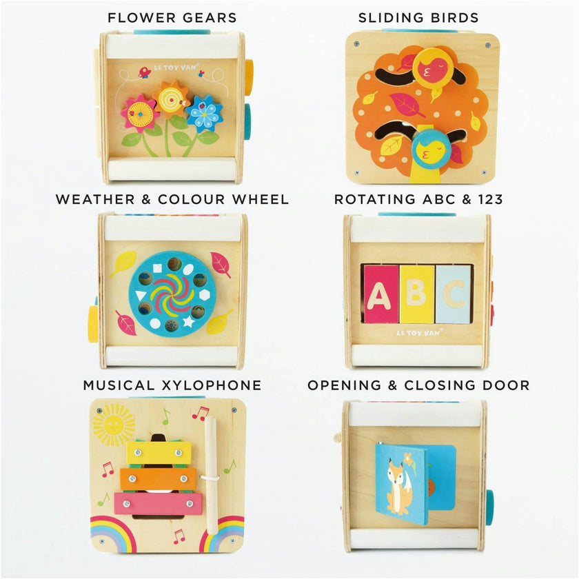 Petit Activity Cube