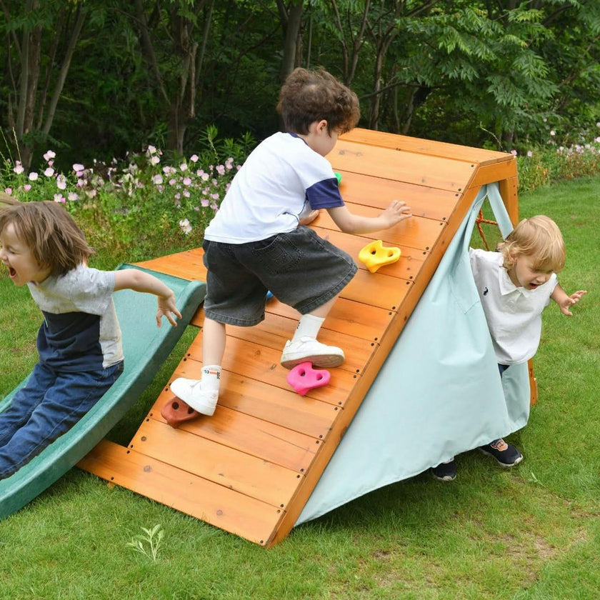 Palm - 5-In-1 Outdoor And Indoor Playground Playset