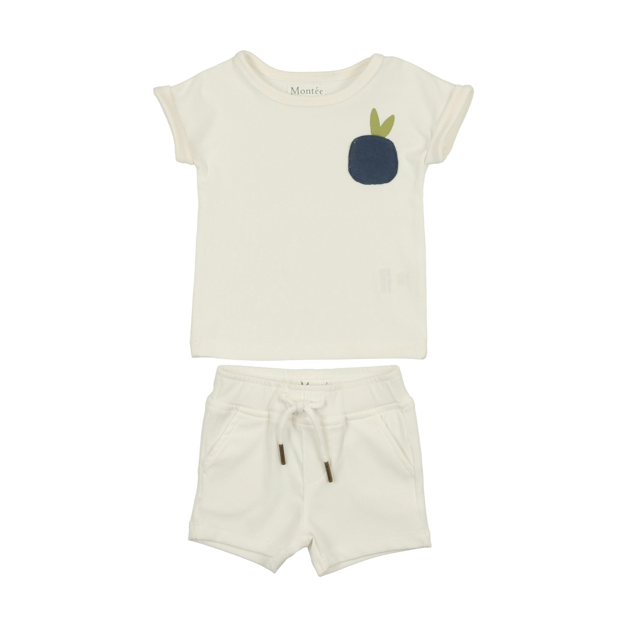 Boys Ribbed Berry Applique Tee & Short Set