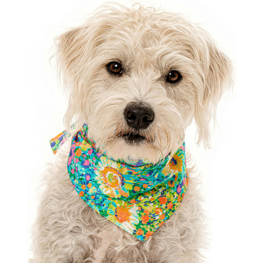 Bandana, Multi
