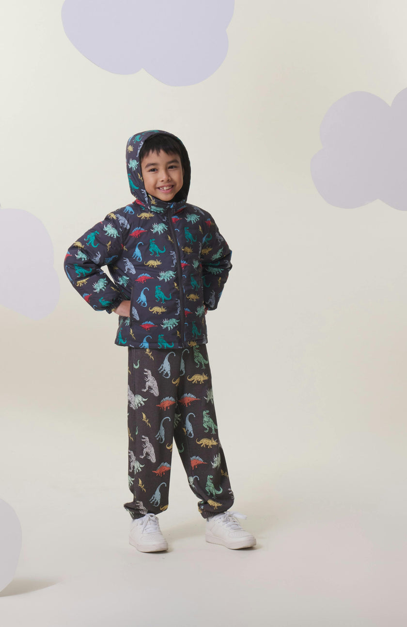 Blake Hooded Reversible Lightweight Down Puffer Jacket, Dinosaur Dudes