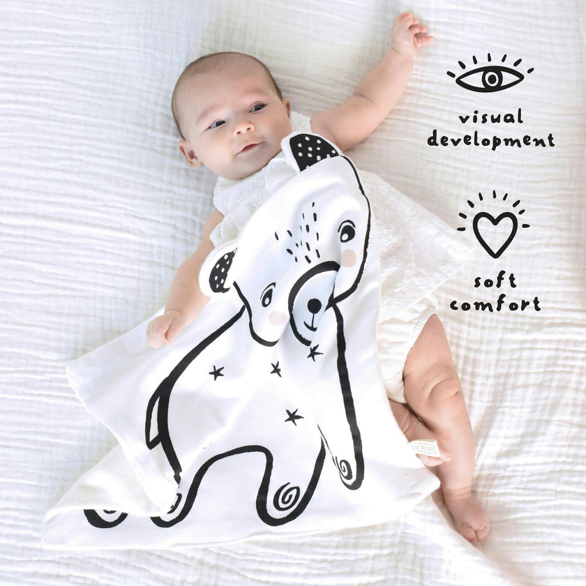 Sensory Bundle for Baby
