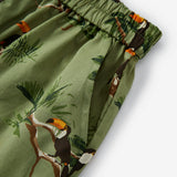 Collar Button-Up Shirt and Shorts Set
