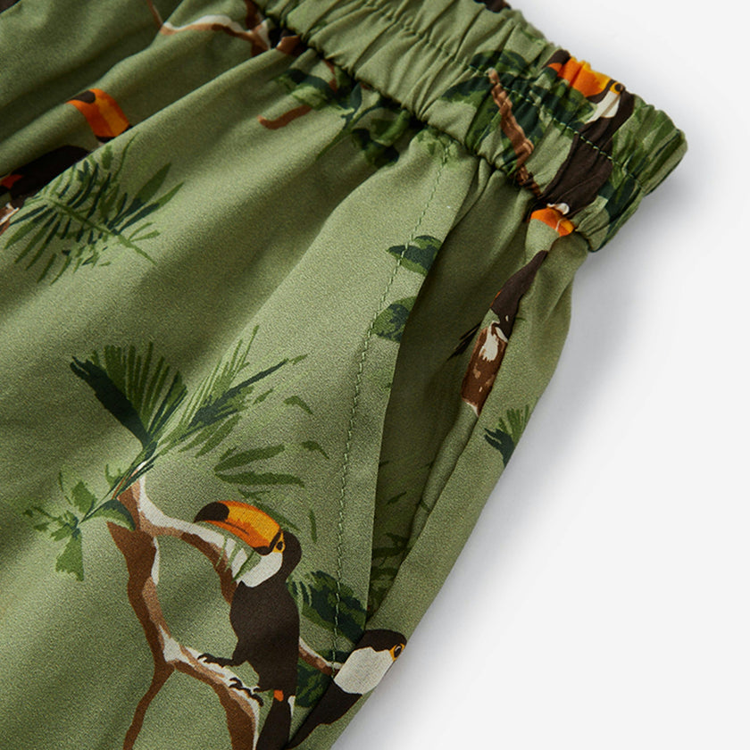 Collar Button-Up Shirt and Shorts Set