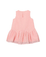 Pink Plumeti dress