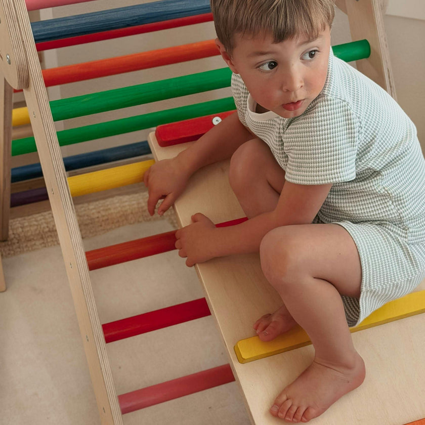 Classic Climber Playset