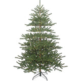 7-Foot Pre-Lit Warm White LED Mountain Pine Tree