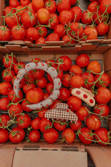 BROWN GINGHAM TOMATO CHARM CLAW