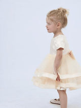 Champagne Suttona Satin Bow Dress