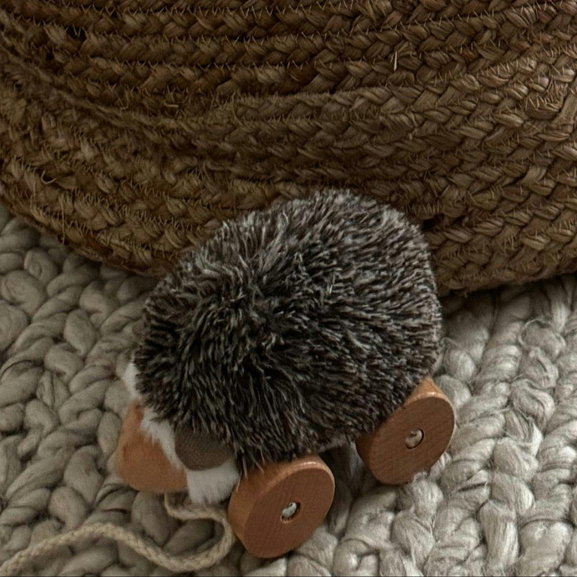 Hedgie