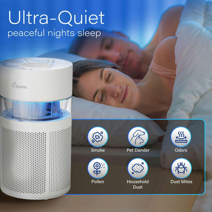 True HEPA Air Purifier
