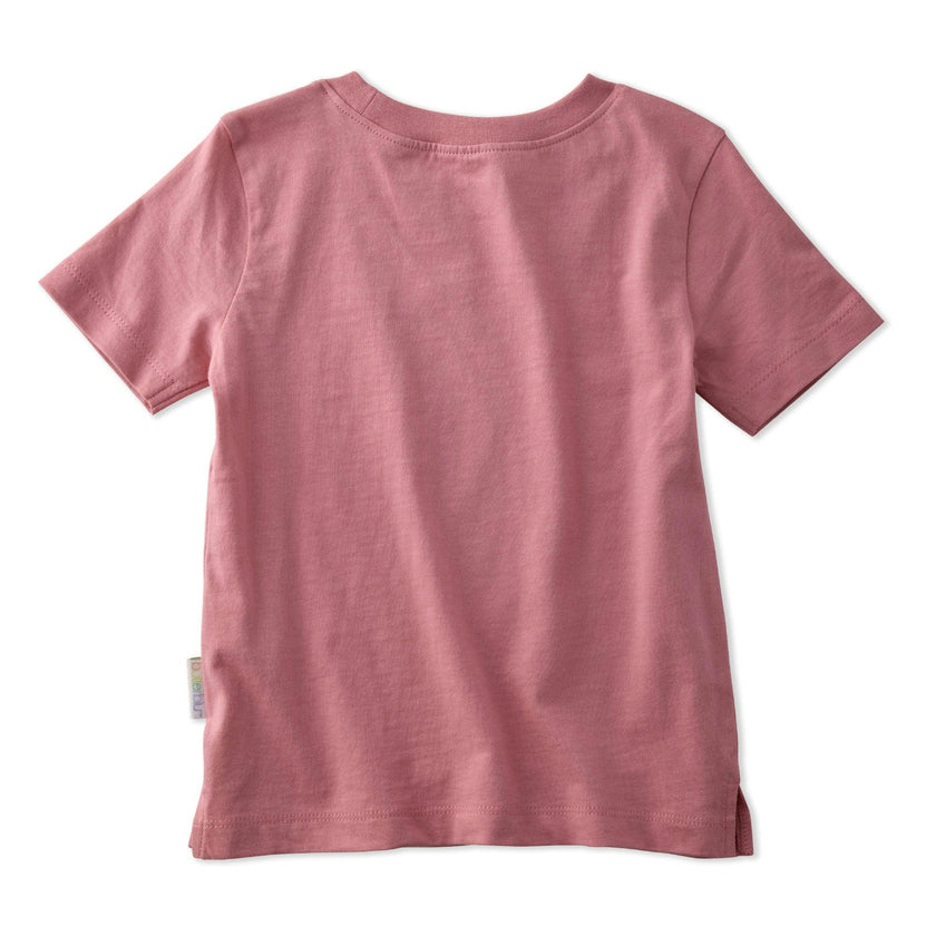 TAYLOR 5-Pack Toddler Short Sleeve T-Shirts