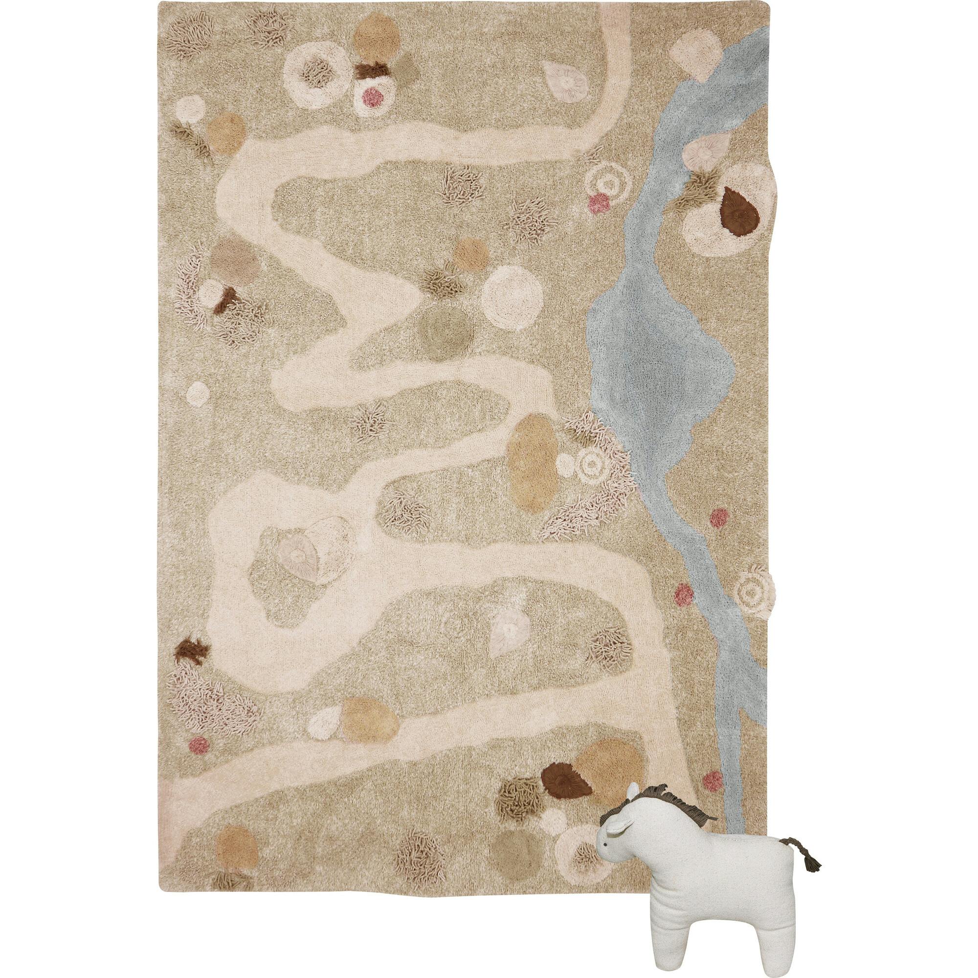 Washable Rug Path