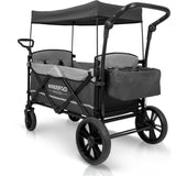 Pull & Push Double Stroller Wagon 2 Seater