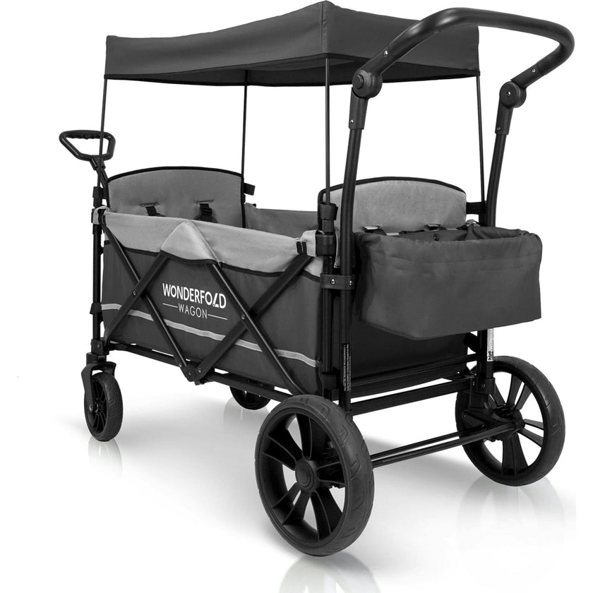 Pull & Push Double Stroller Wagon 2 Seater