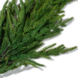 Green Norfolk Pine Branch