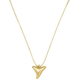 Shark tooth