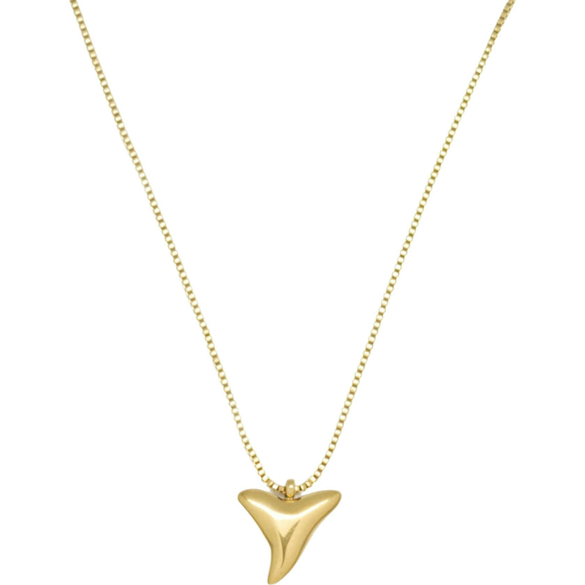 Shark tooth
