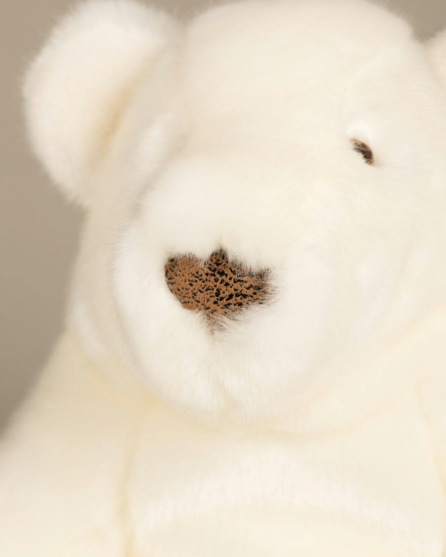 Paul-Emile the Polar Bear