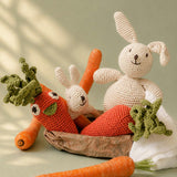 Bunny Plush Lovey 100% organic cotton