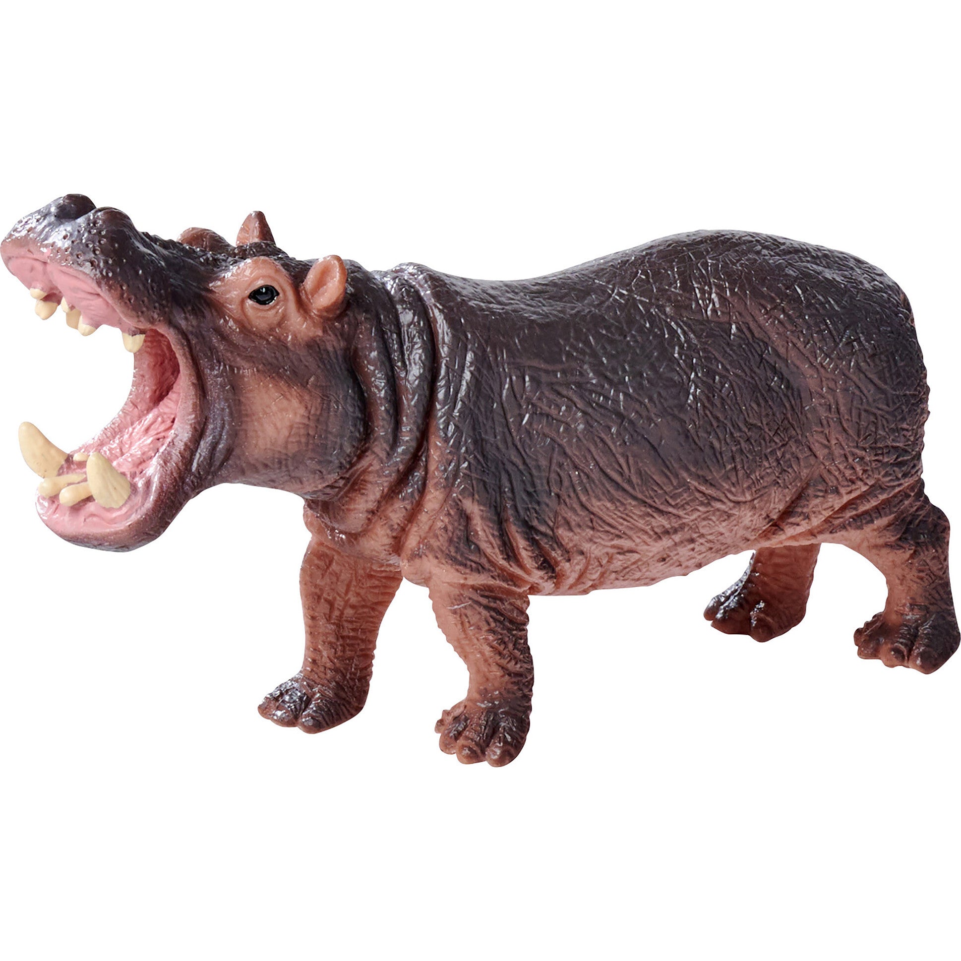 Animals Set: Wild Series 2 - 5pc