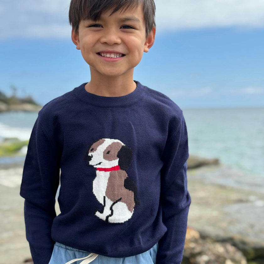 HENRY Navy Sweater