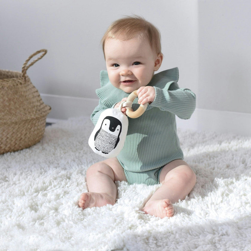 Gift Set Baby Animal s