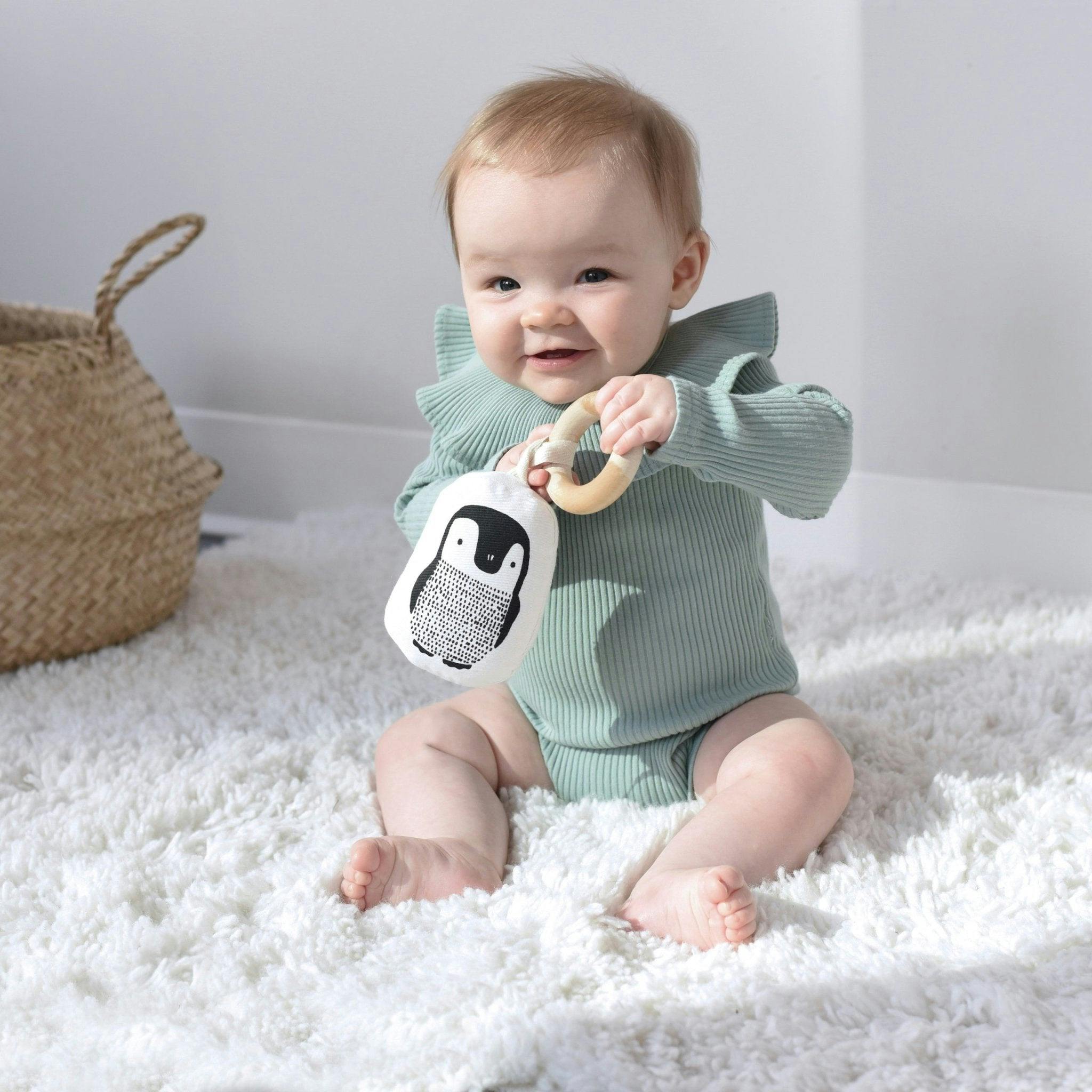 Gift Set Baby Animal s