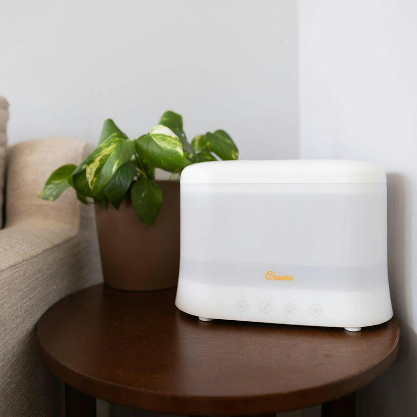 0.5 Gallon Top Fill Cool Mist Humidifier & Essential Oil Diffuser