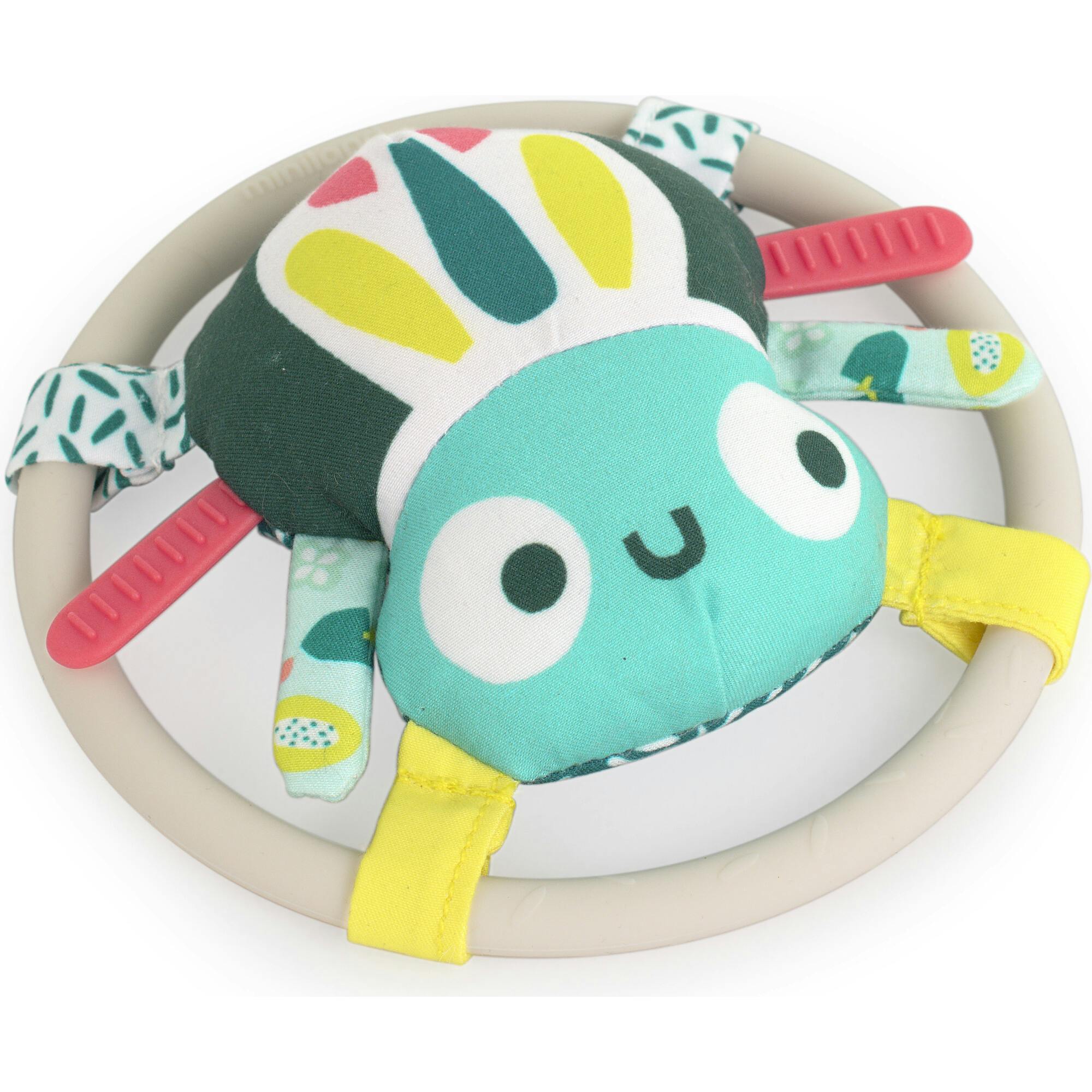 Feel to Learn: Spider rattle