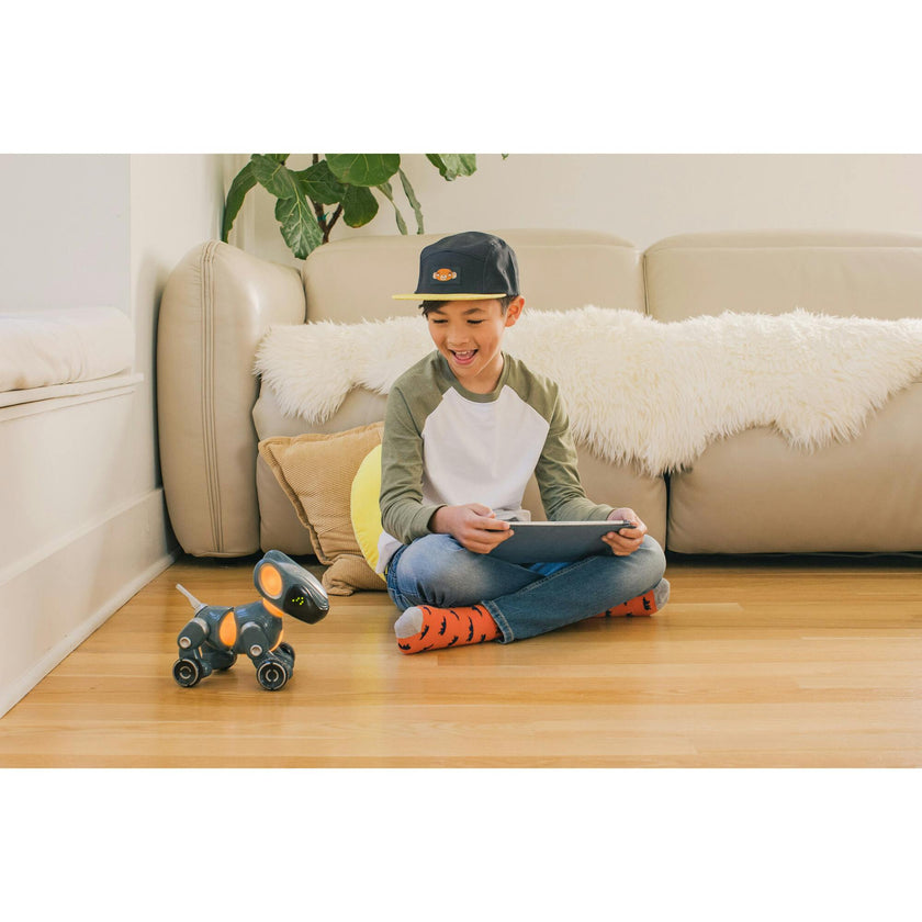 Pyxel The Coding Pet