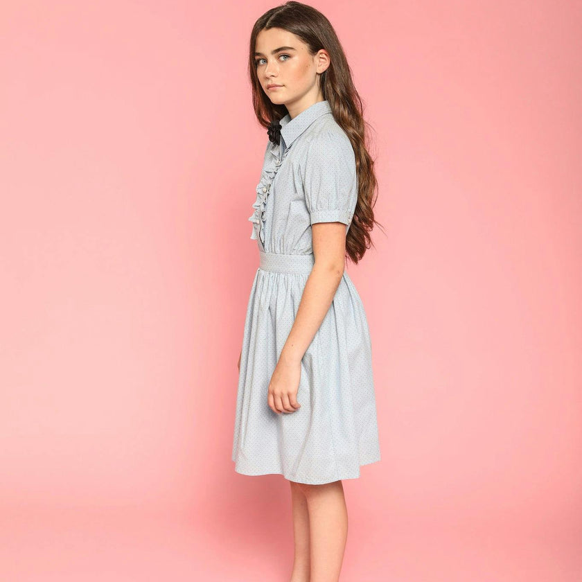 Ariel (blue stripe)