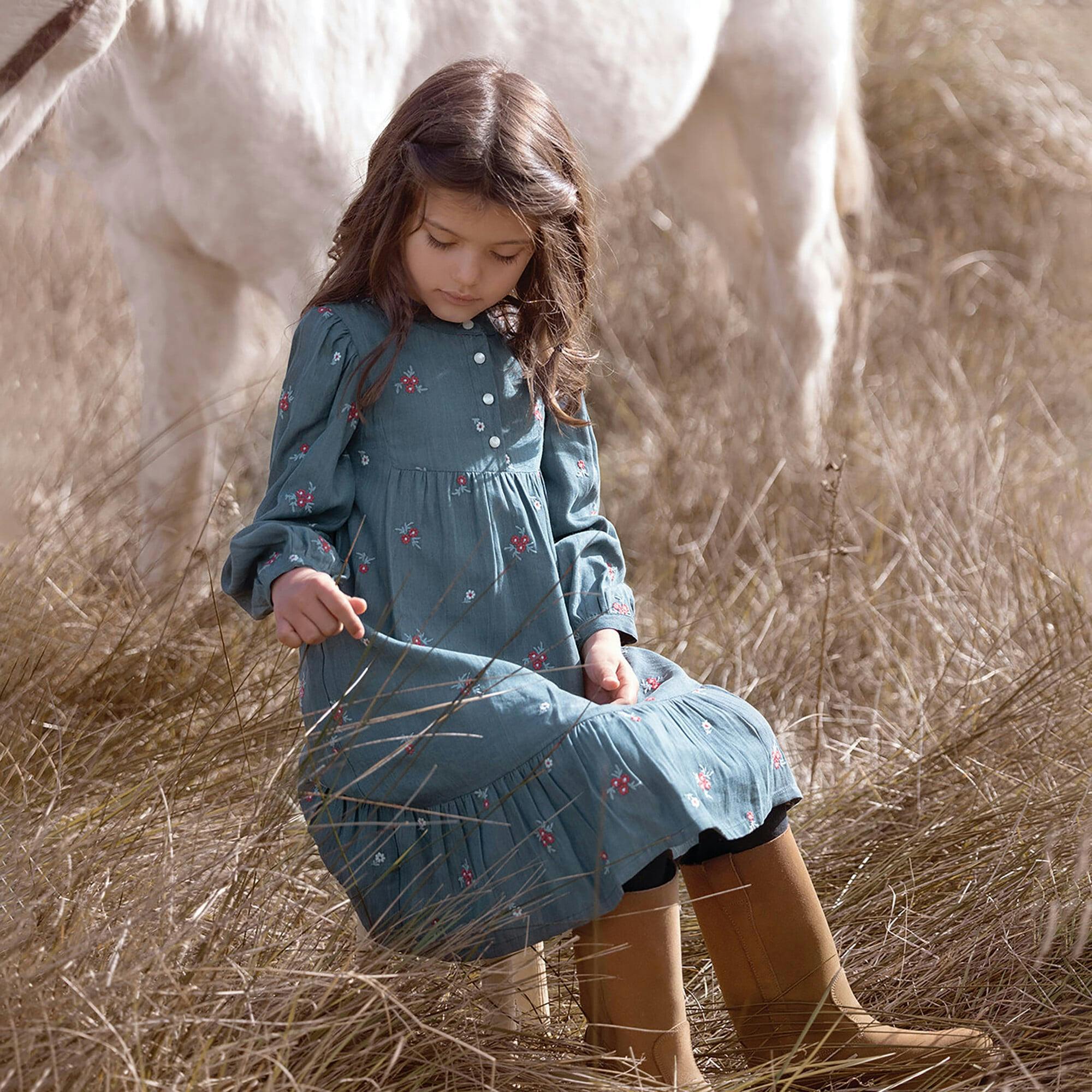 Chambray Floral Embroidered Long Sleeve Midi Dress