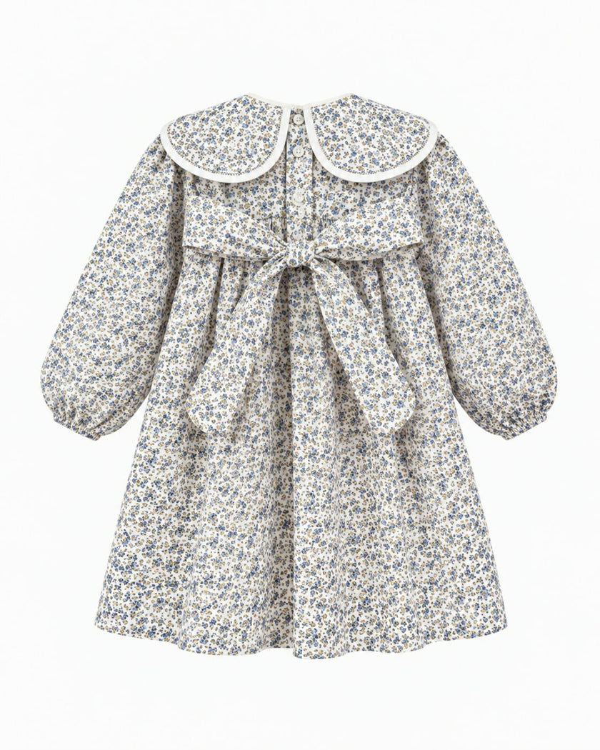 Clementine dress