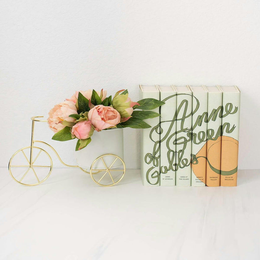 Anne of Green Gables Book Set