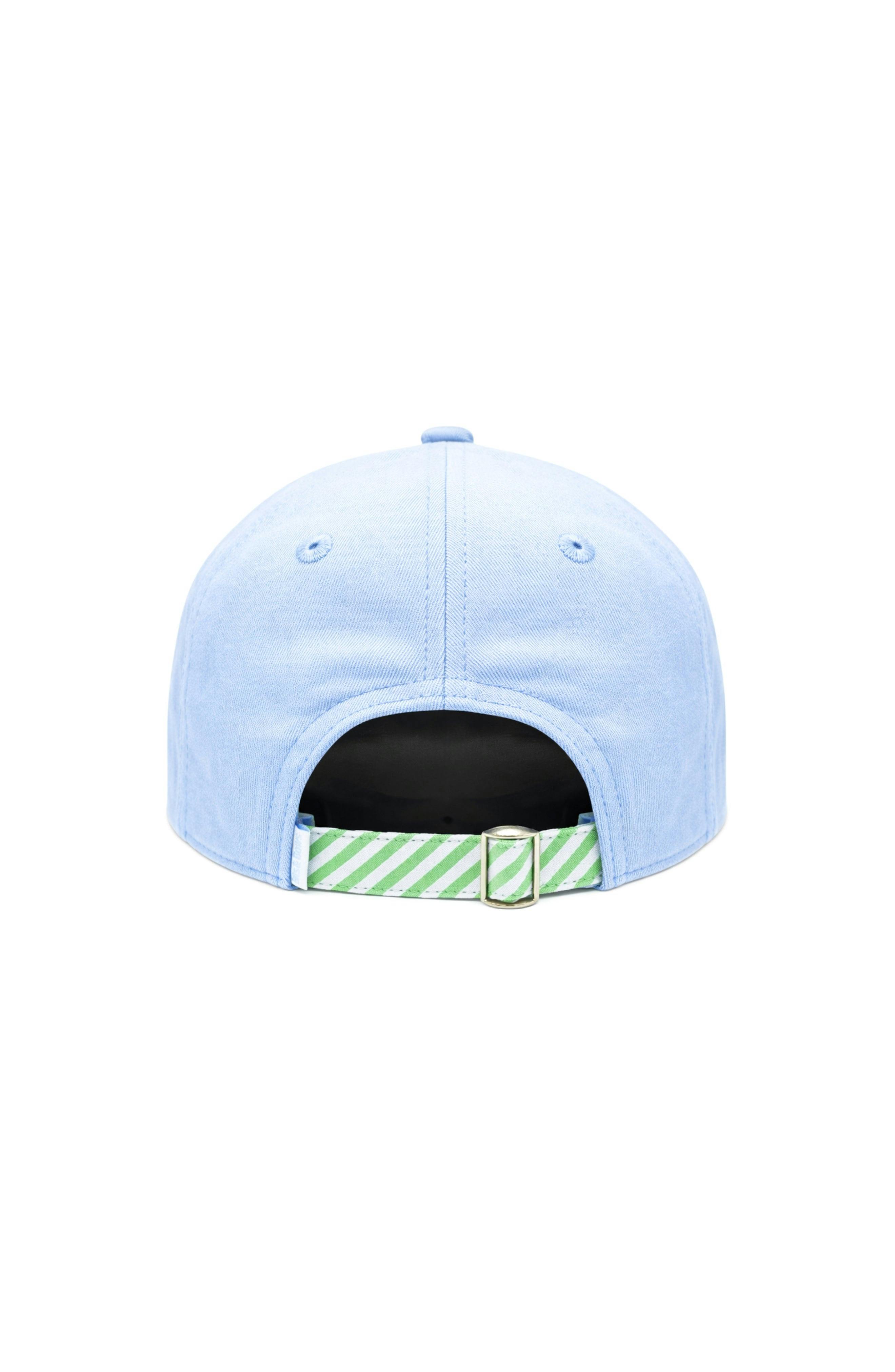 Dog in Golf Cart Baseball Hat