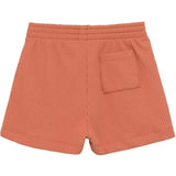 Coral Rib Mini Swim Trunk