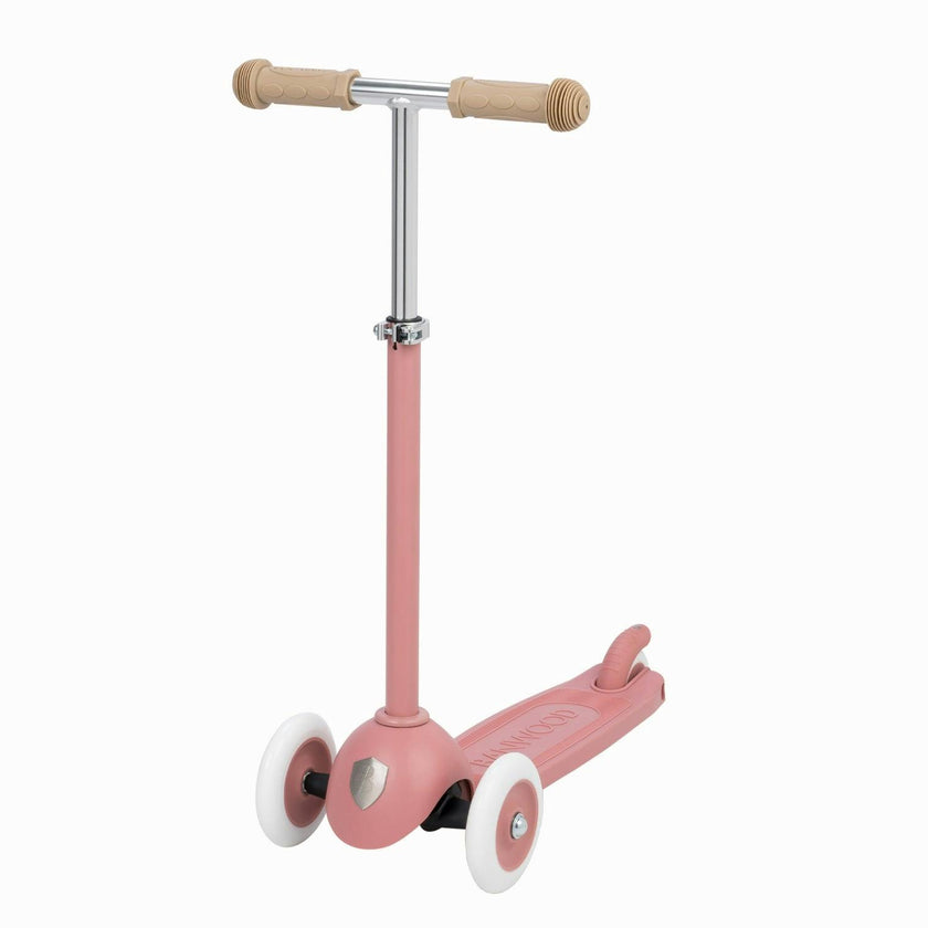Eco scooter - Raspberry
