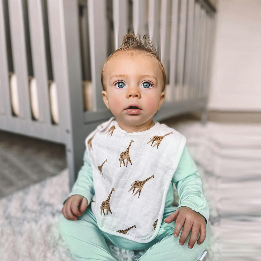 Bib Set