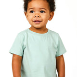 TAYLOR 10-Pack Toddler Short Sleeve T-Shirts